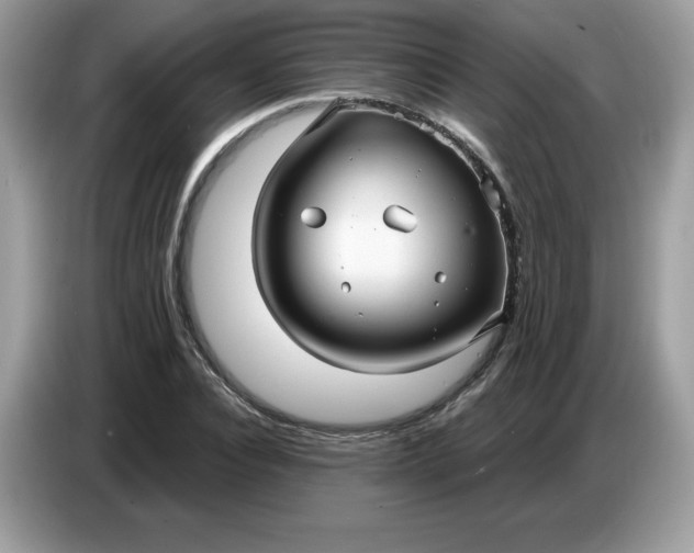 X0000086780928200704271807