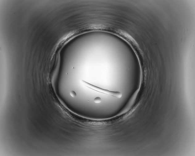 X0000086780930200704271807