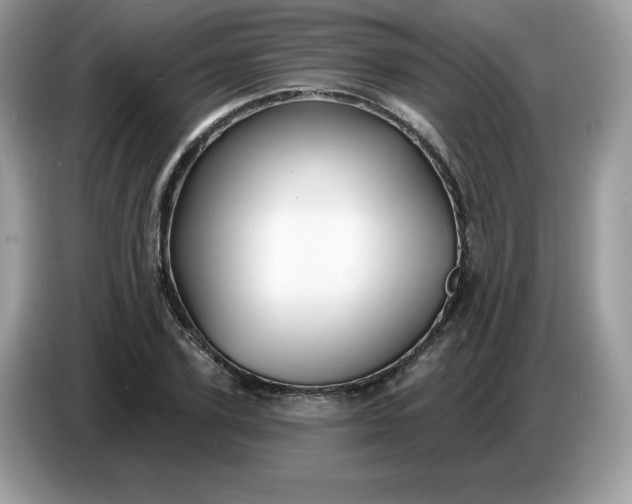 X0000086780931200704271807