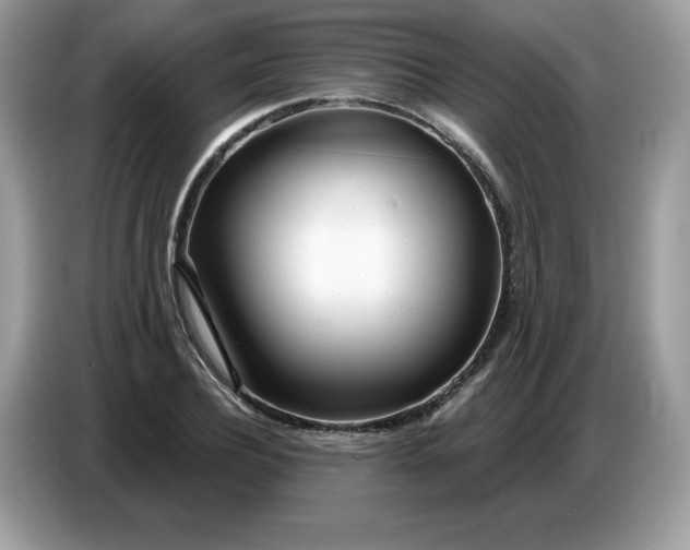 X0000086780932200704271807