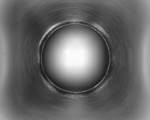 X0000086780934200704271807