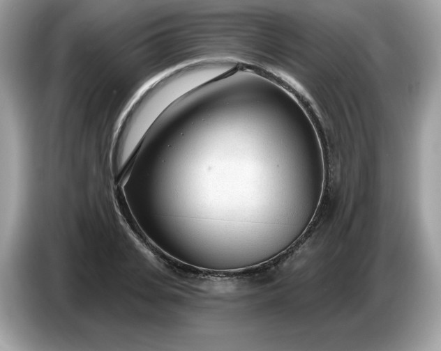 X0000086780935200704271807