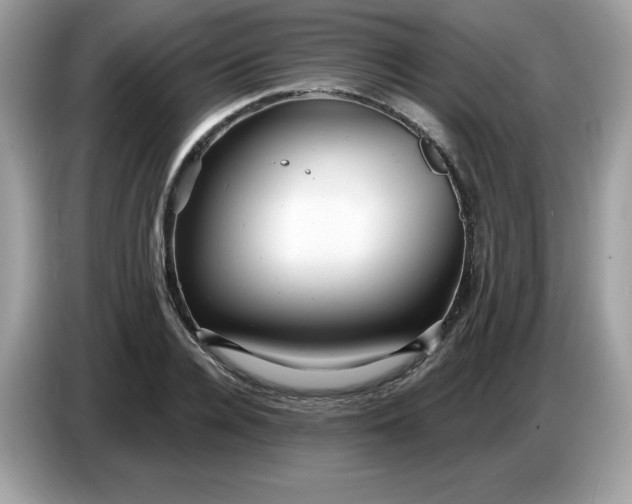 X0000086780936200704271807