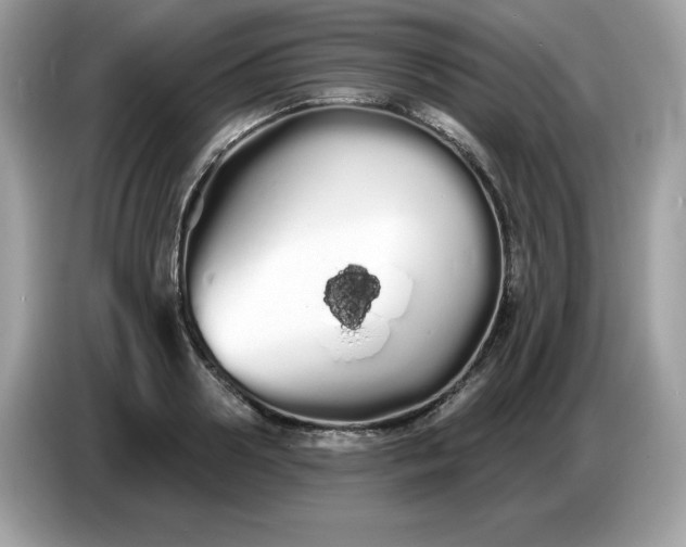 X0000086780938200704271807