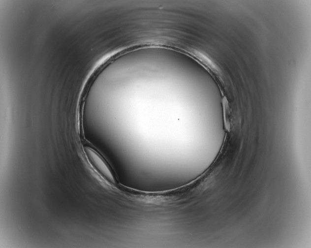 X0000086780940200704271807