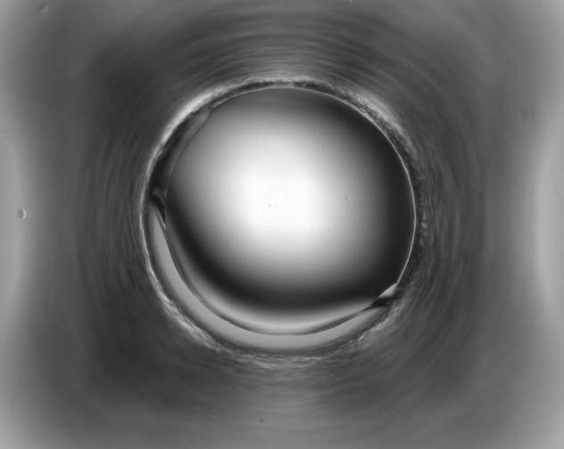 X0000086780942200704271807