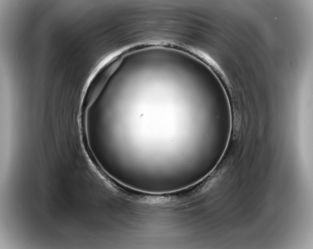 X0000086780943200704271807