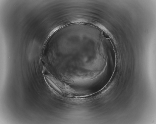 X0000086780945200704271807