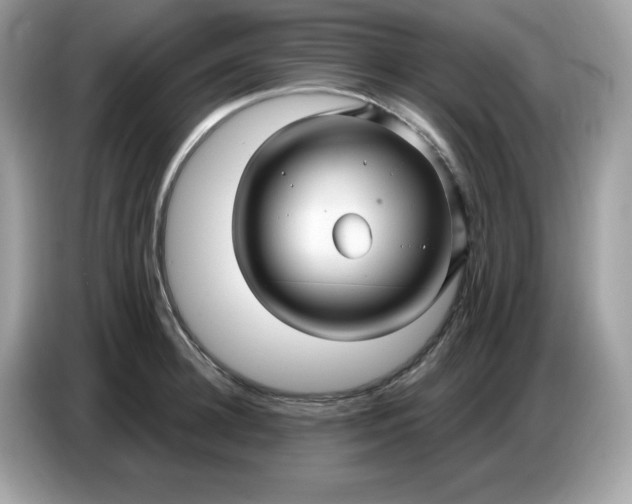 X0000086780948200704271807