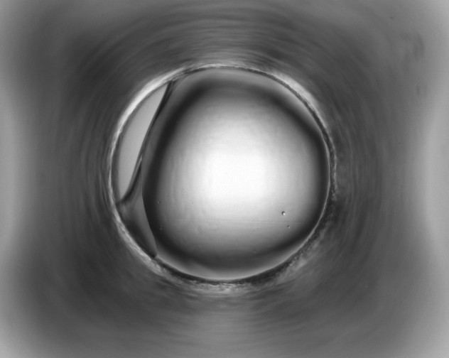 X0000086780949200704271807