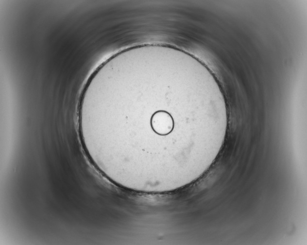 X0000086780950200704271807