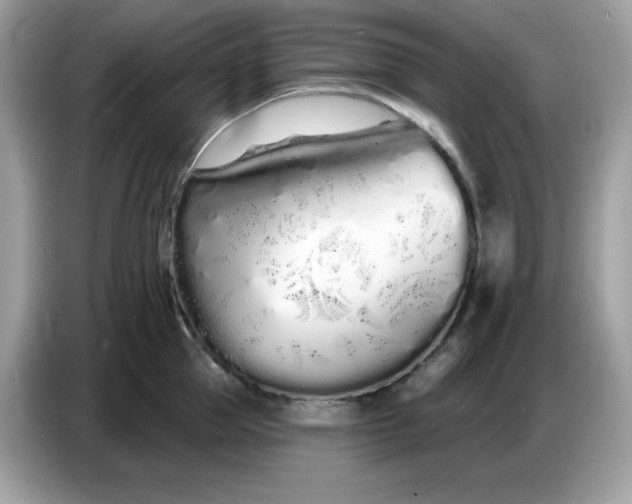 X0000086780953200704271807