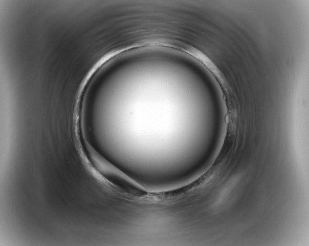 X0000086780955200704271807