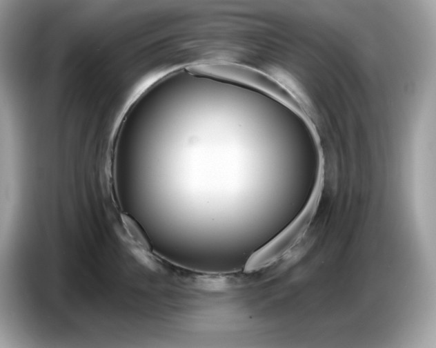 X0000086780956200704271807