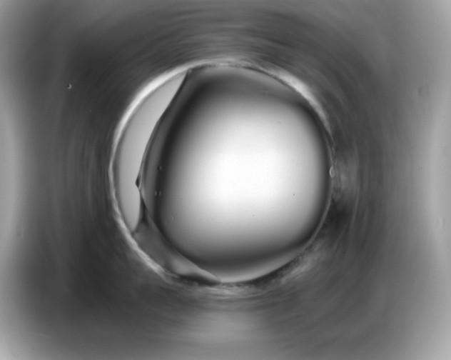 X0000086780959200704271807