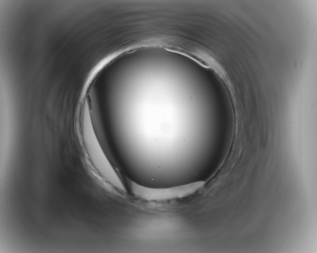 X0000086780960200704271807