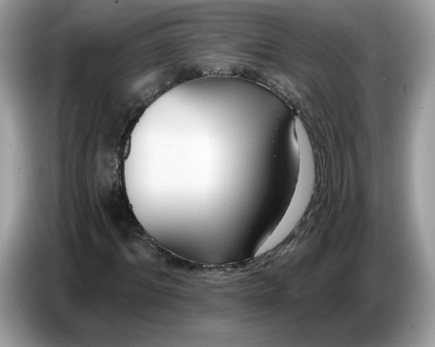 X0000086780964200704271807