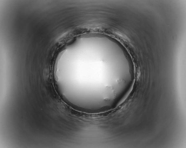 X0000086780966200704271807