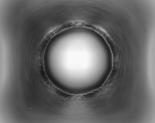 X0000086780967200704271807