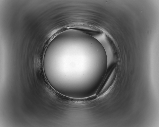 X0000086780969200704271807