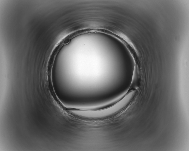 X0000086780972200704271807