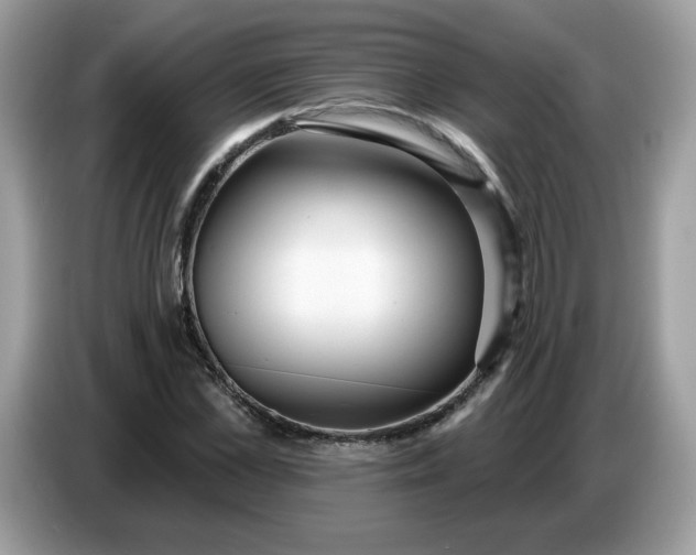 X0000086780973200704271807