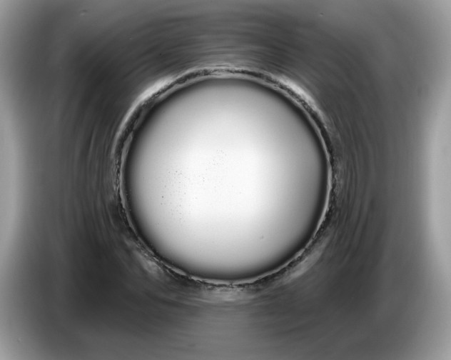 X0000086780974200704271806