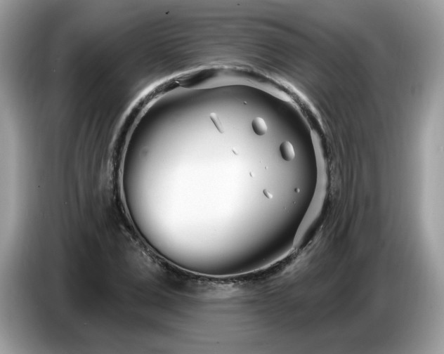 X0000086780975200704271806