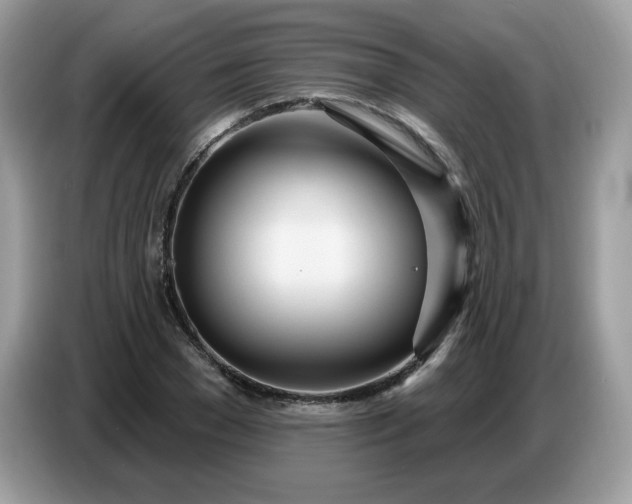 X0000086780977200704271806