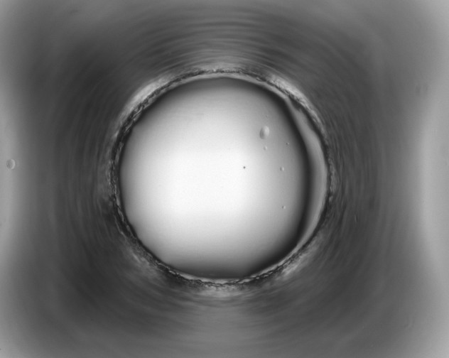 X0000086780978200704271806