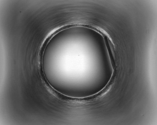 X0000086780981200704271806