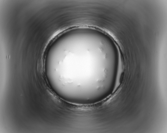 X0000086780982200704271806