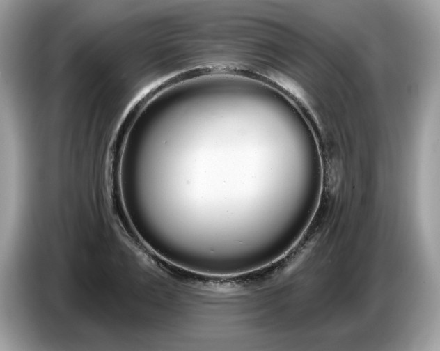 X0000086780983200704271806