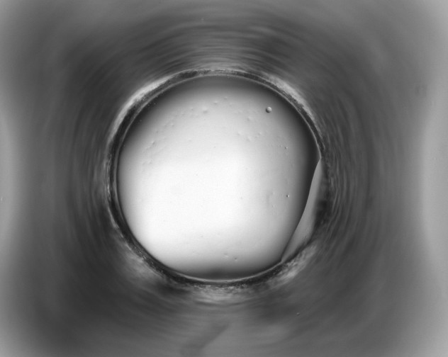 X0000086780987200704271806