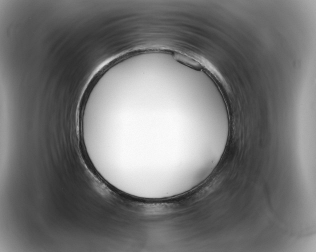 X0000086780988200704271806