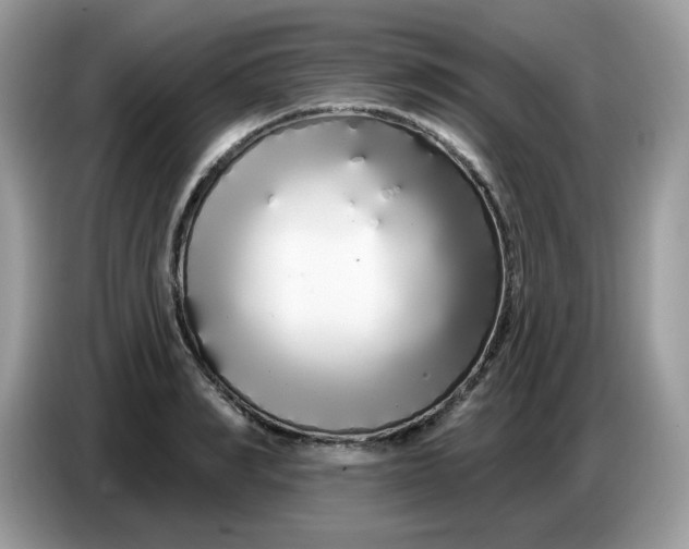 X0000086780990200704271806