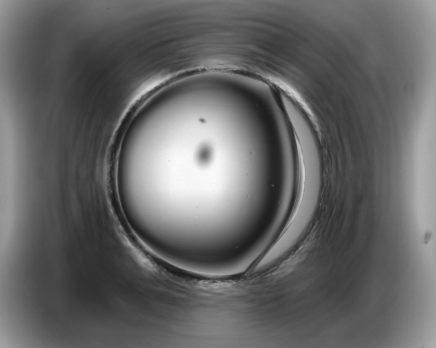 X0000086780991200704271806