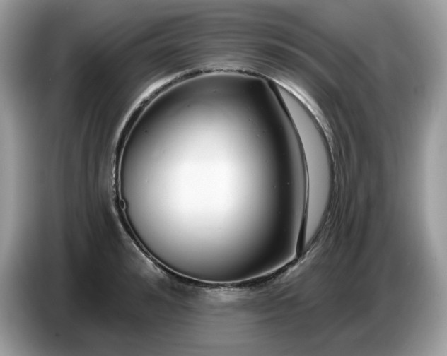 X0000086780992200704271806