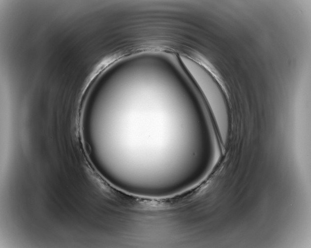 X0000086780994200704271806