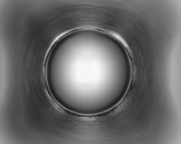 X0000086780996200704271806