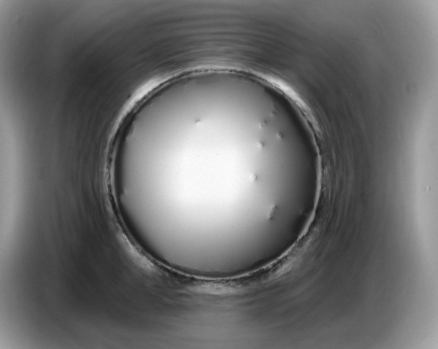 X0000086780998200704271806