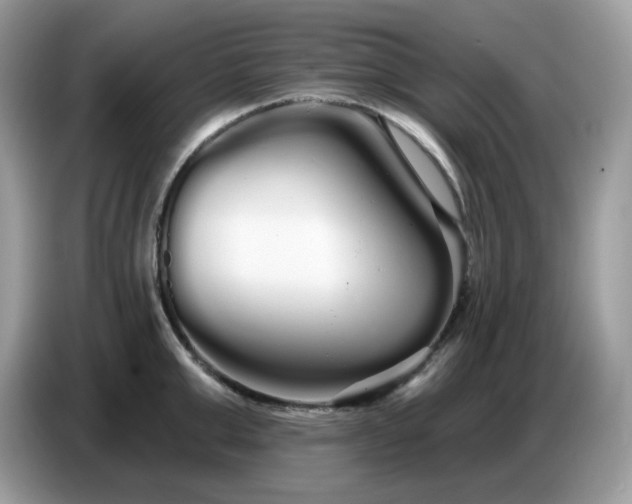 X0000086780999200704271806