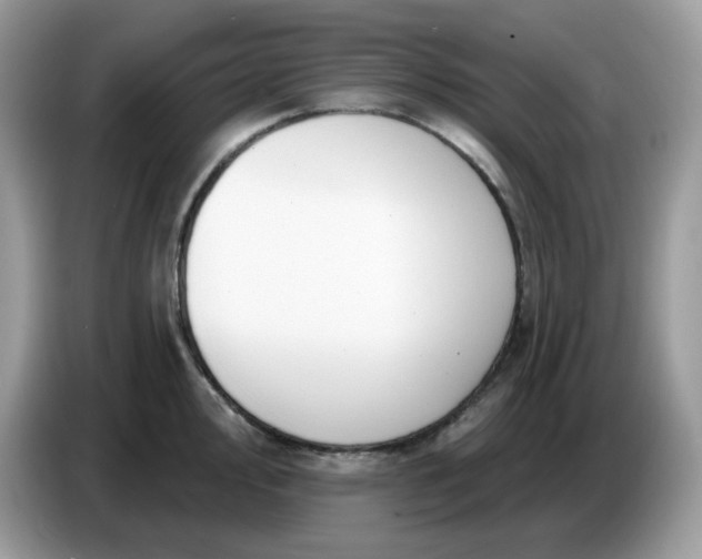 X0000086781000200704271806