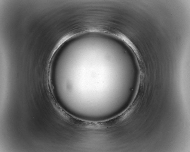 X0000086781002200704271806