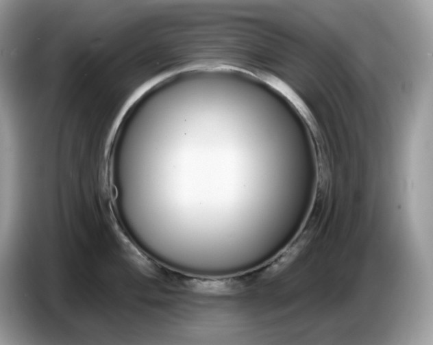 X0000086781004200704271806