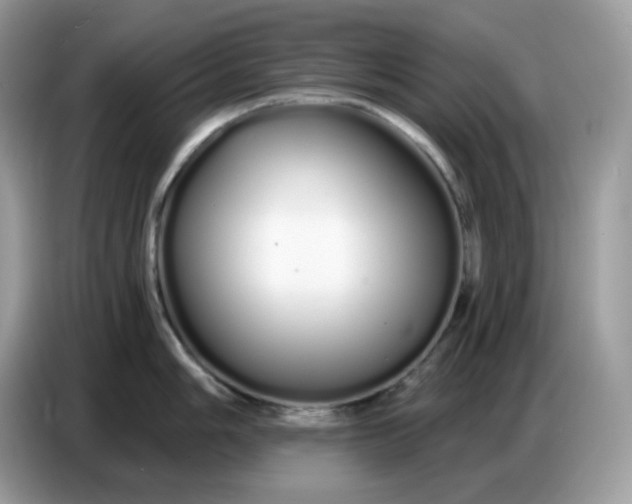 X0000086781006200704271806