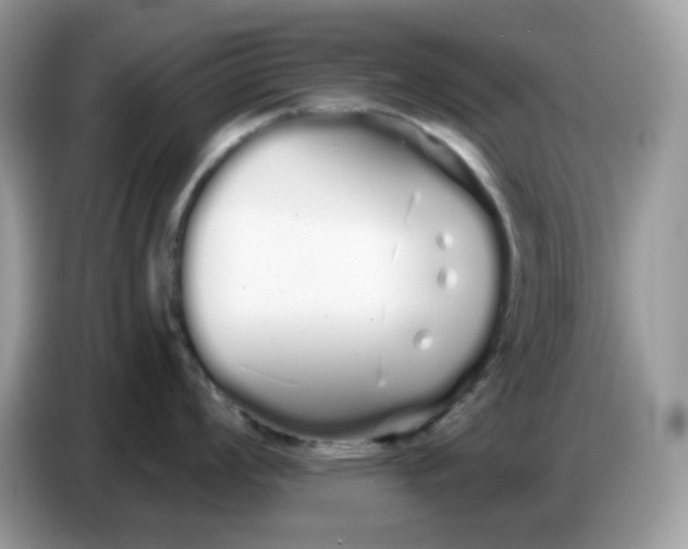 X0000086781008200704271806