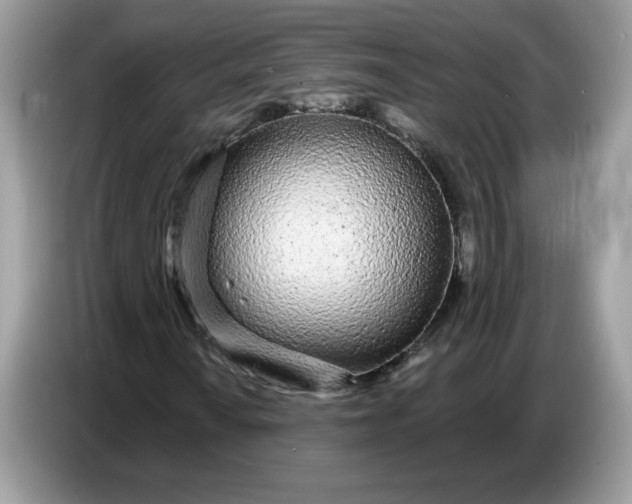 X0000086781010200704271805