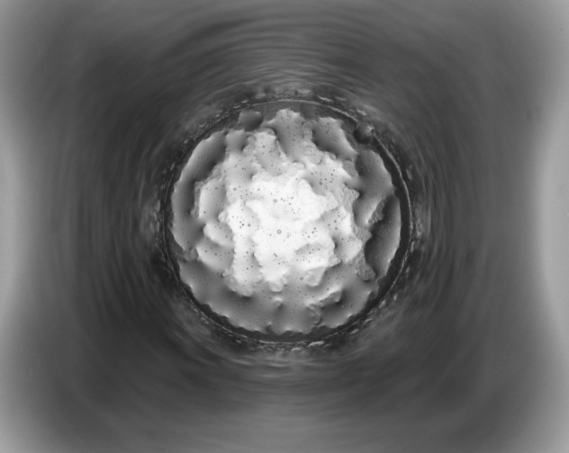 X0000086781011200704271805