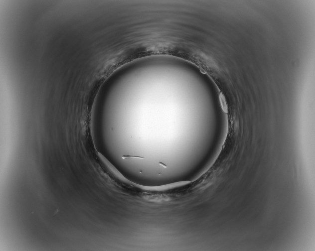 X0000086781012200704271805